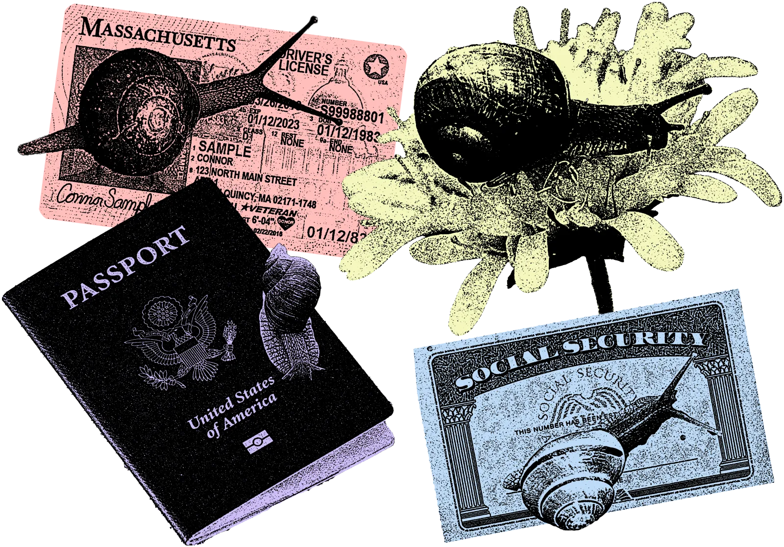 Illustrations of a driver's license, a gavel, a passport, a social security card, and a flower with snails.